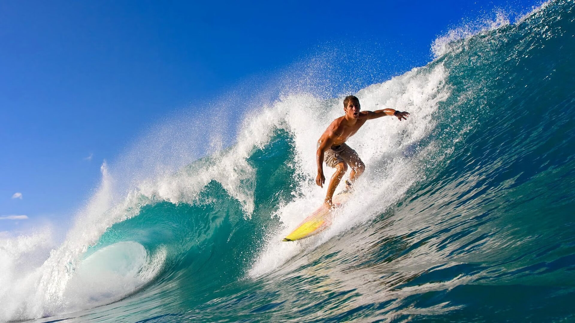 爱游戏娱乐平台-极限粉丝：他们用行动诠释对球队的热爱，极限成员名单